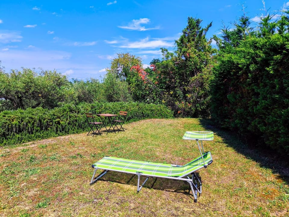 Natural landscape, Garden view, sunbed
