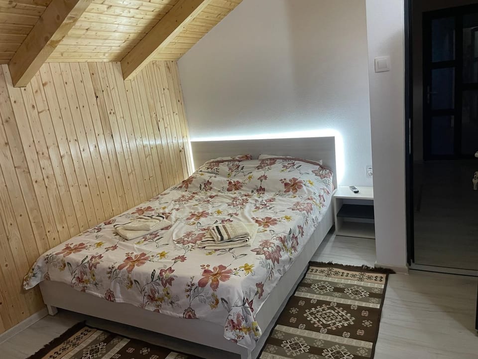 Vela's Cabin Cabin in Romania