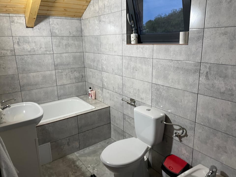 Vela's Cabin Cabin in Romania