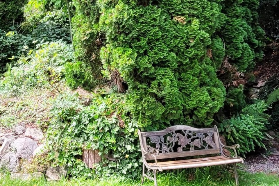 Garden, Garden view