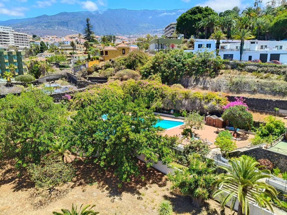 Day, Garden, Garden view, Mountain view, Pool view, Swimming pool