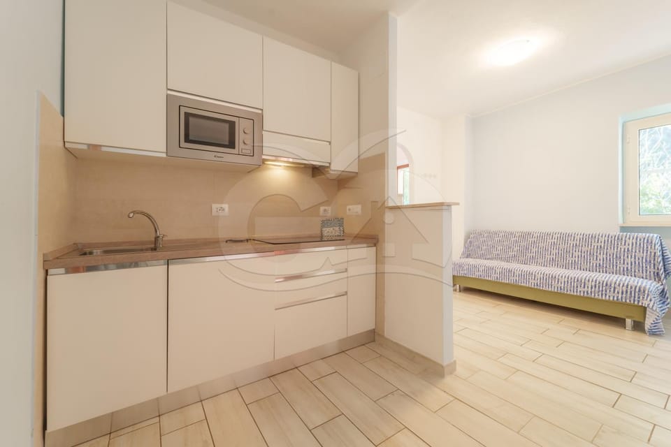 Kitchen or kitchenette, Living room, Photo of the whole room