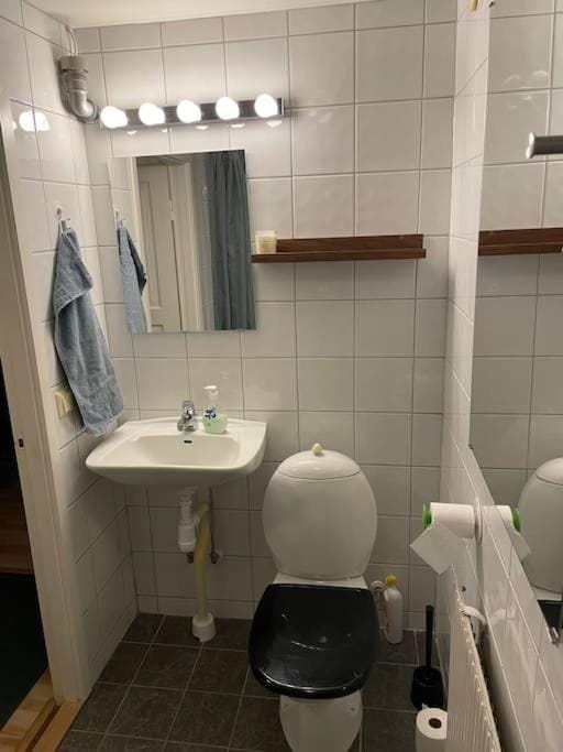 Toilet, Bathroom