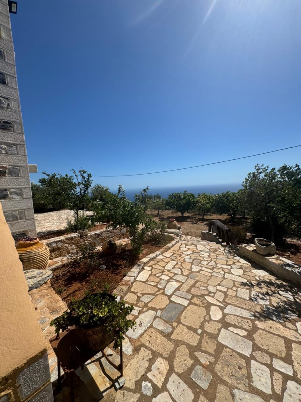 Day, Natural landscape, Garden view
