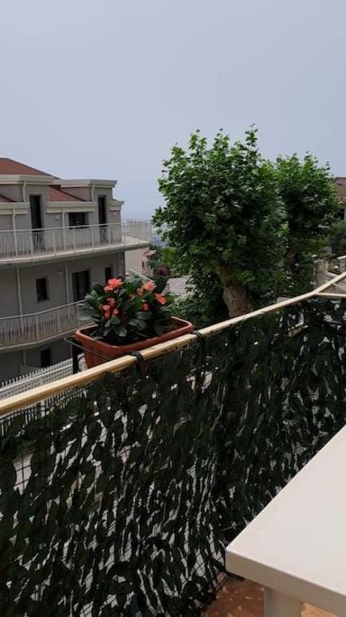 Balcony/Terrace, Balcony/Terrace