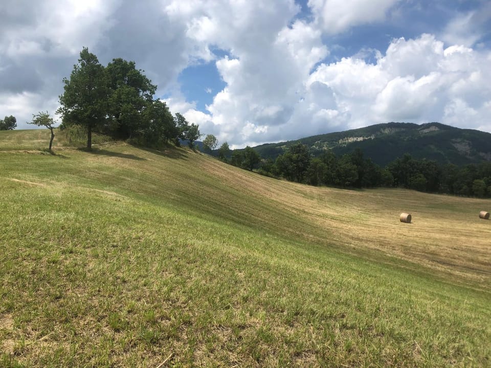 Natural landscape
