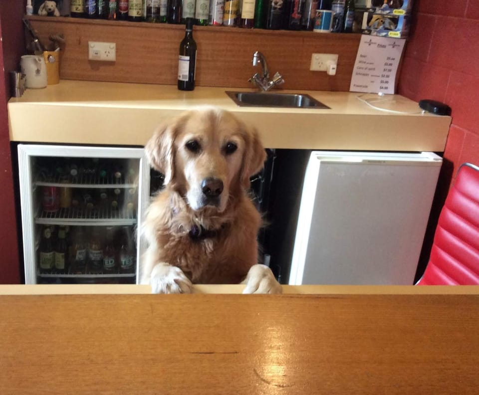 Lounge or bar