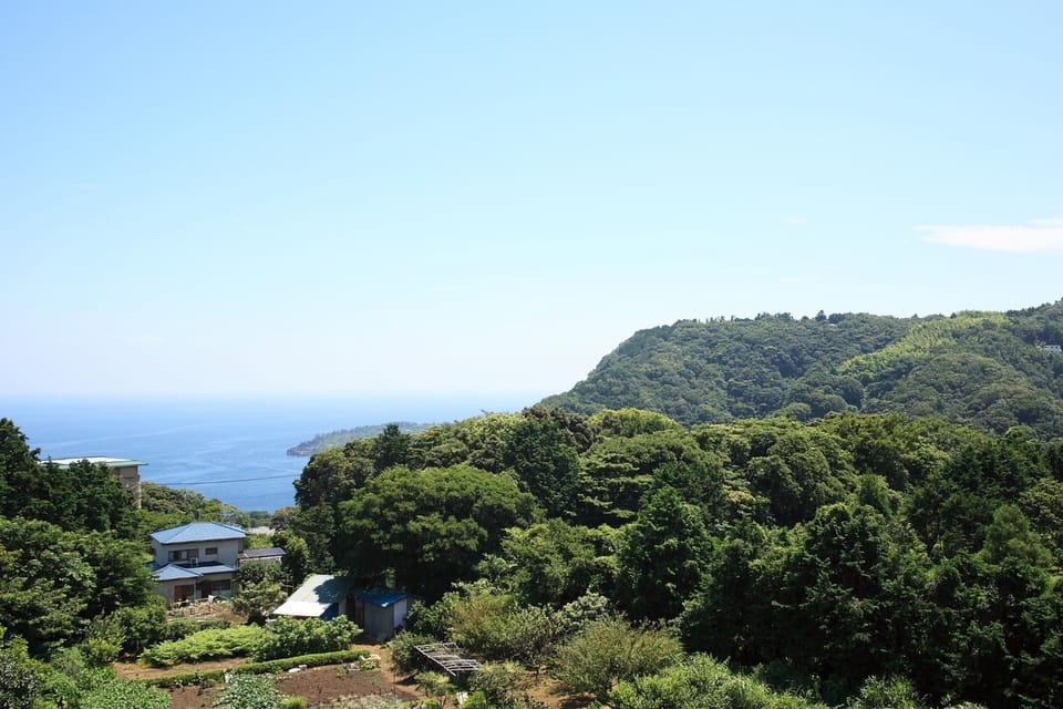 View (from property/room), Sea view