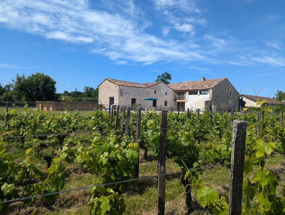 Vineyard Villa with Pool and Hot Tub House in Nouvelle-Aquitaine