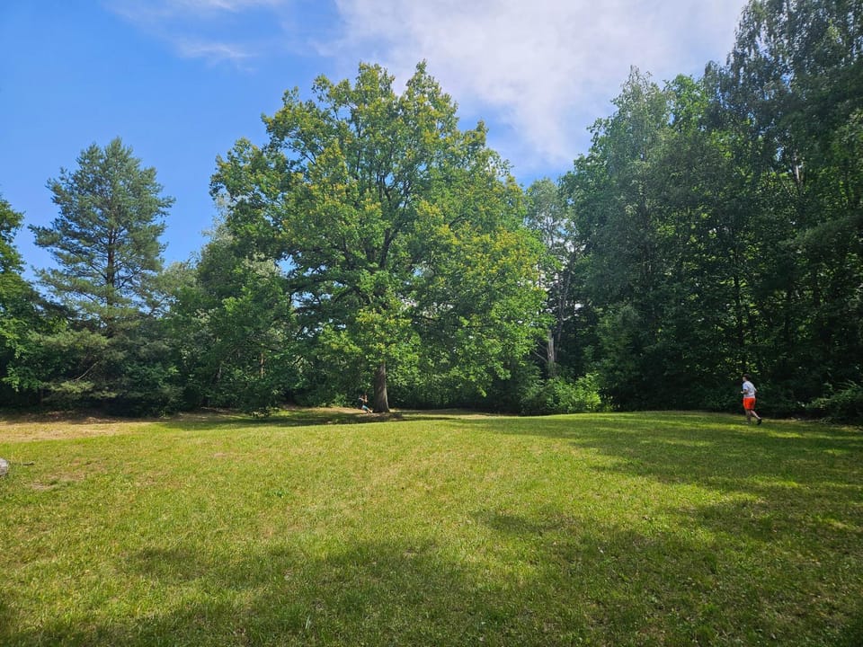Dom z linią brzegową Narwi 3 House in Masovian Voivodeship
