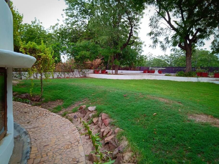 Garden