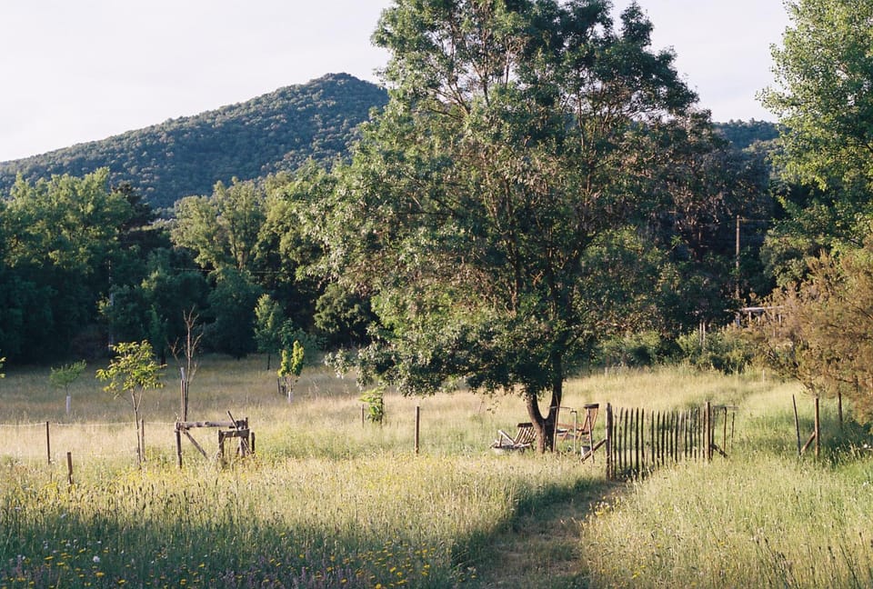 Les Plaines Villa in Cogolin