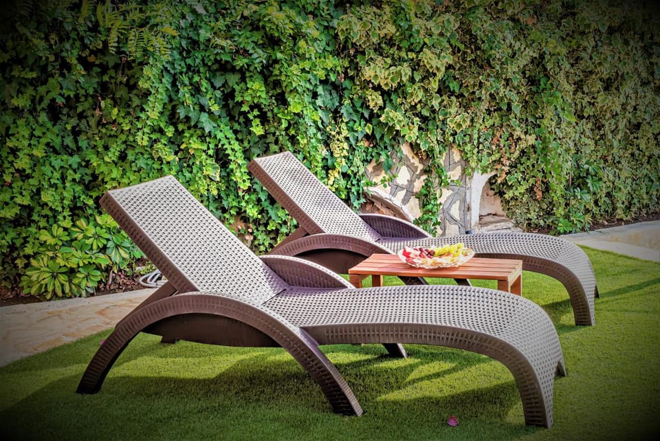 Garden, Garden, Food, Food, sunbed, sunbed
