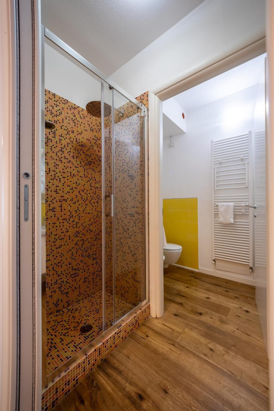 Shower, Toilet, Bathroom, Photo of the whole room, bidet, hair dryier, heating, internet, towels, air conditioner
