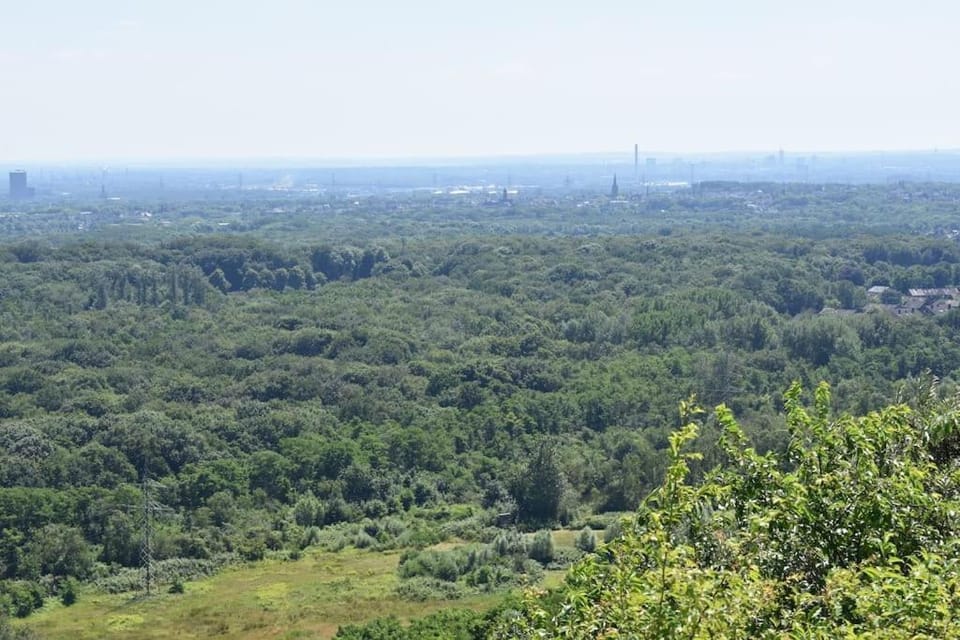 Natural landscape