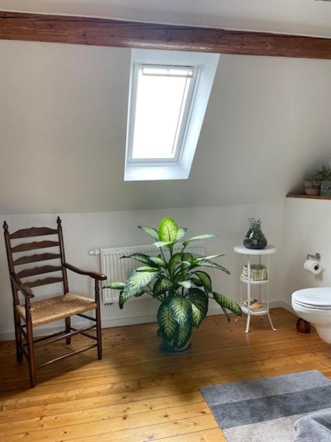 Charmante Altbauwohnung in perfekter Lage Apartment in Osnabrück
