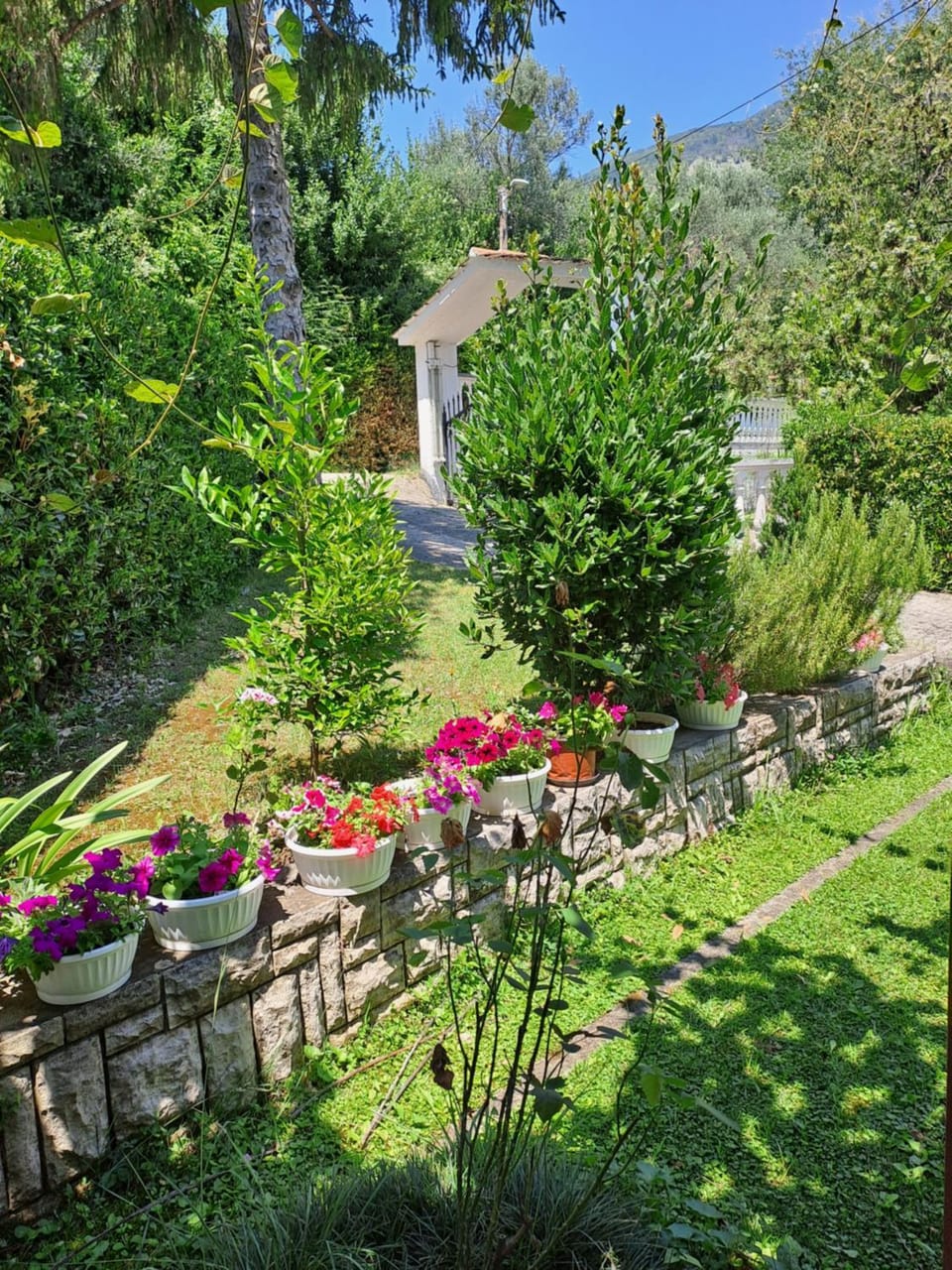Garden view