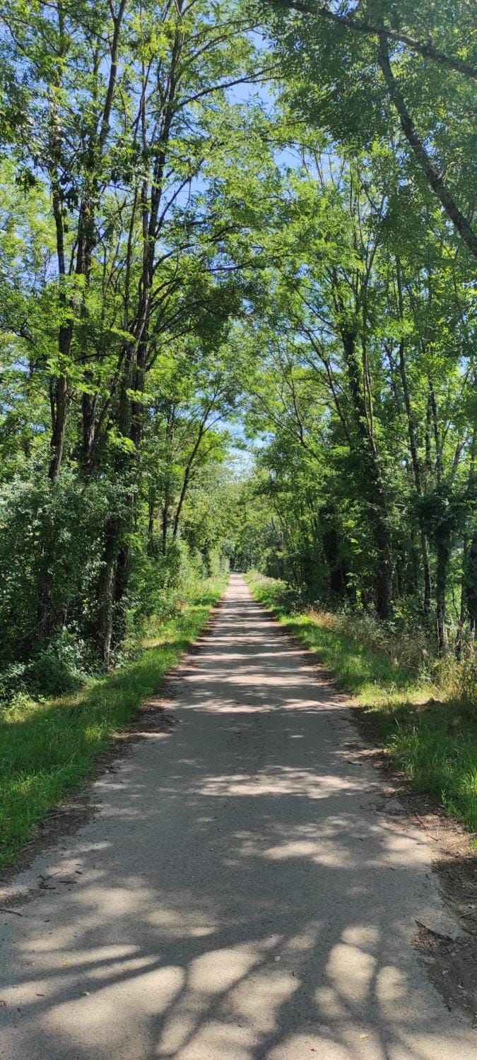 Scout-1 Campground/ 
RV Resort in Jura