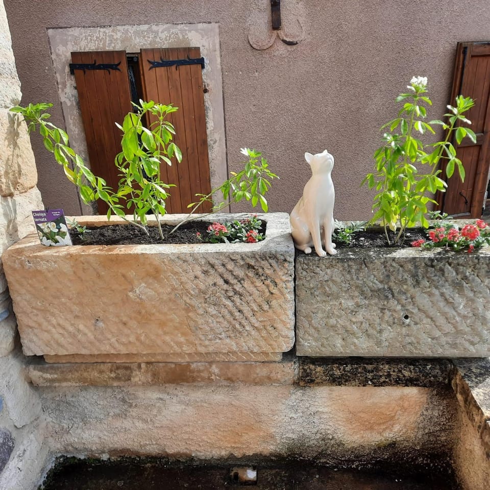 Gite Chez Laurette 12 House in Occitanie