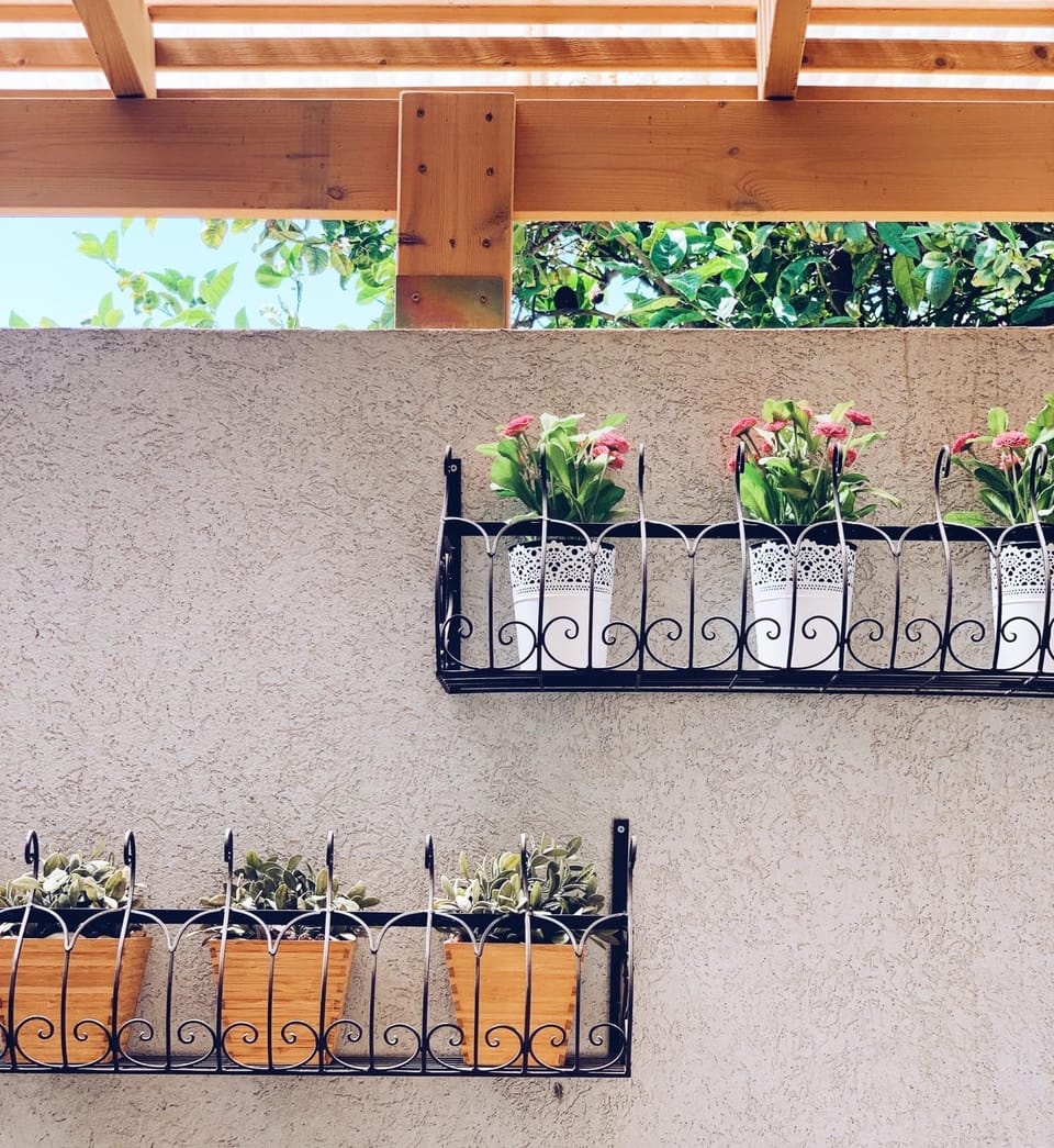 Garden view