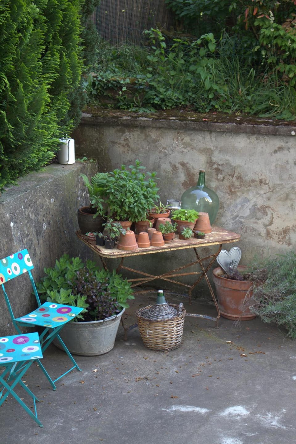 Garden