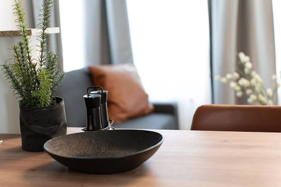 Neues 2 Schlafzimmer Apartment mit RooftopTerrace Apartment in Dresden