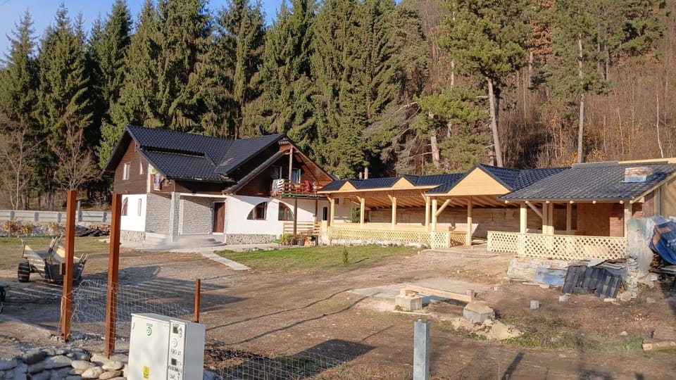Casa de sub pădure Apartment in Romania