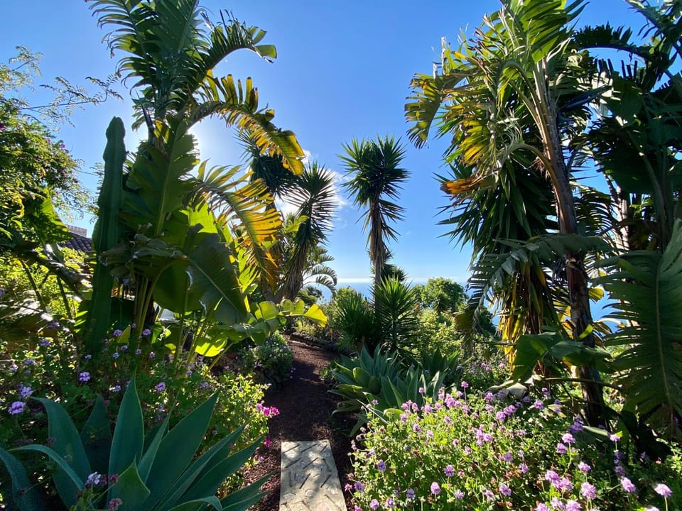 Garden, Garden view
