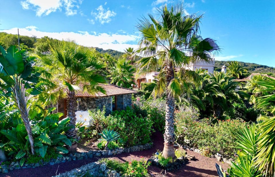 Property building, Garden, Garden view