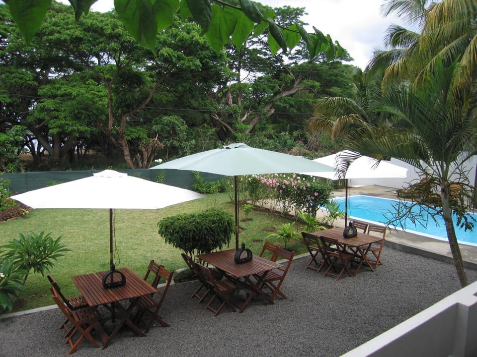 Day, Garden, Garden view, Pool view, Swimming pool