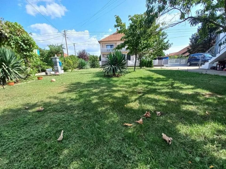 Zvezda Apartment in Serbia
