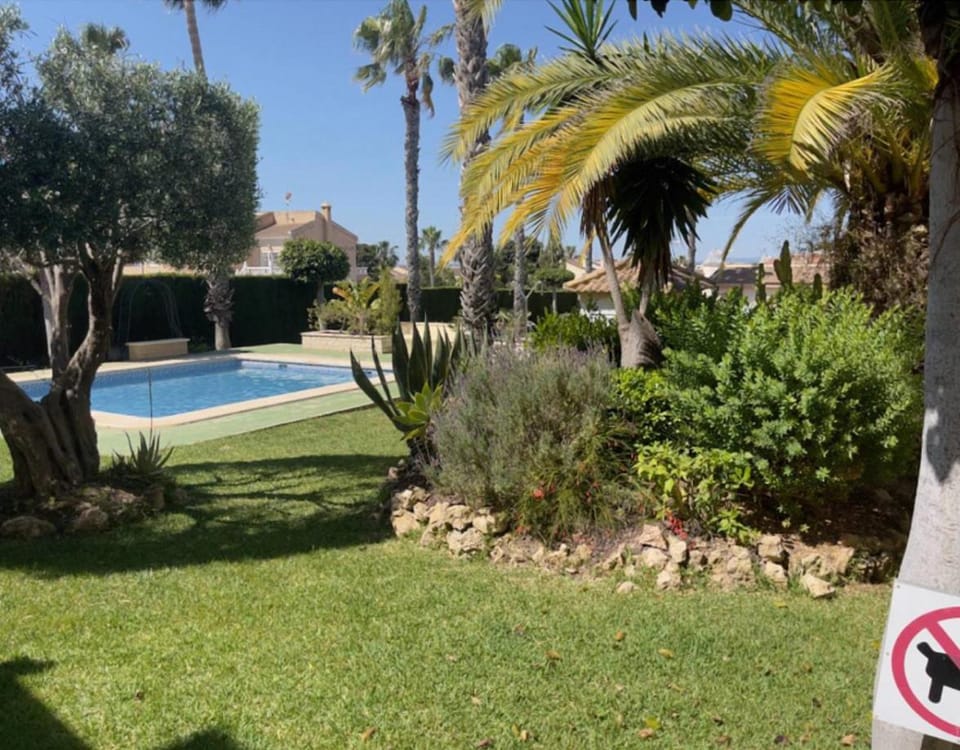 Garden, Swimming pool