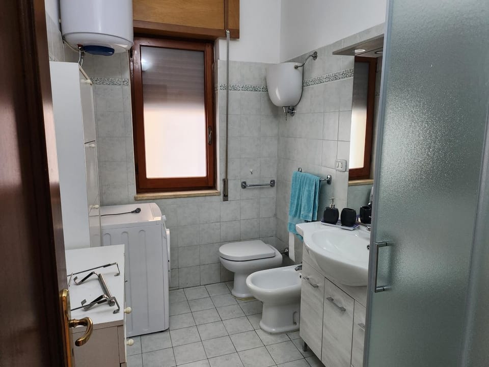 Shower, Toilet, bidet, hair dryier, towels, washing machine