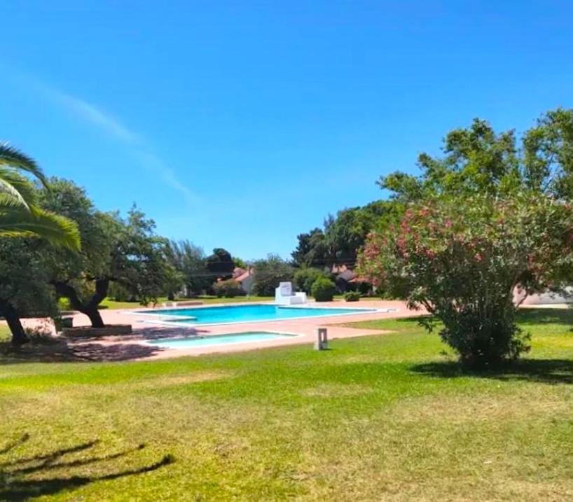 Day, Natural landscape, Garden, Swimming pool