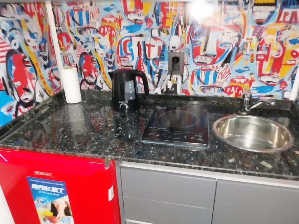 Kitchen or kitchenette, kitchen