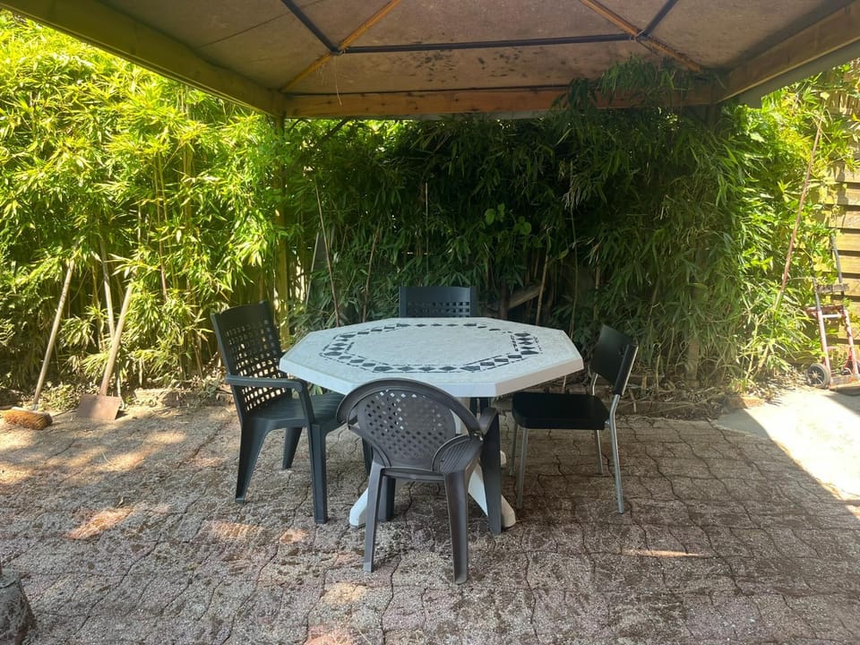 Patio, Spring, Day, Garden, Dining area, Garden view