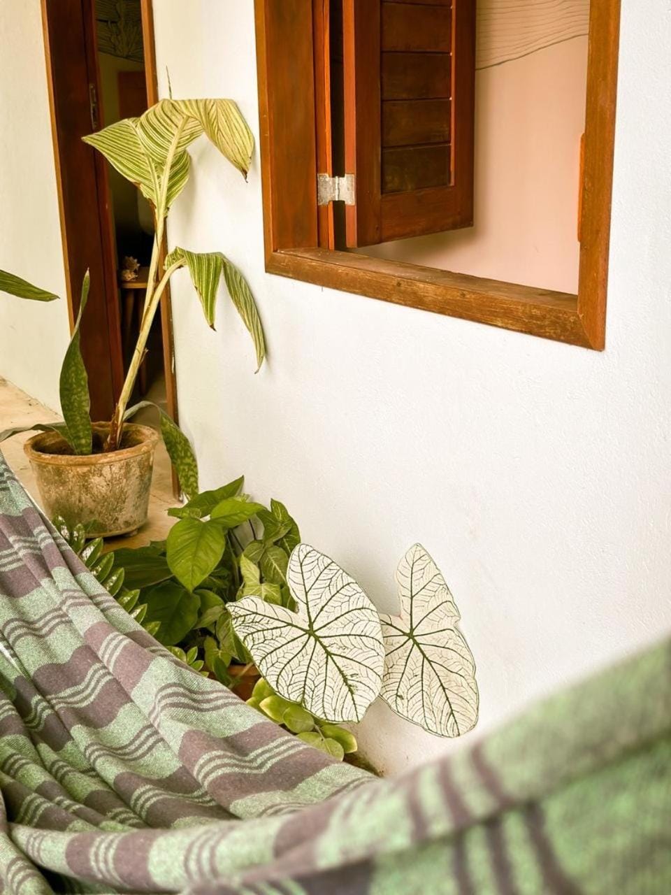 Recanto do cajueiro Hostel in Flecheiras