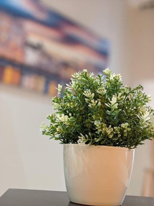 Appartamento Isotta Apartment in Trieste