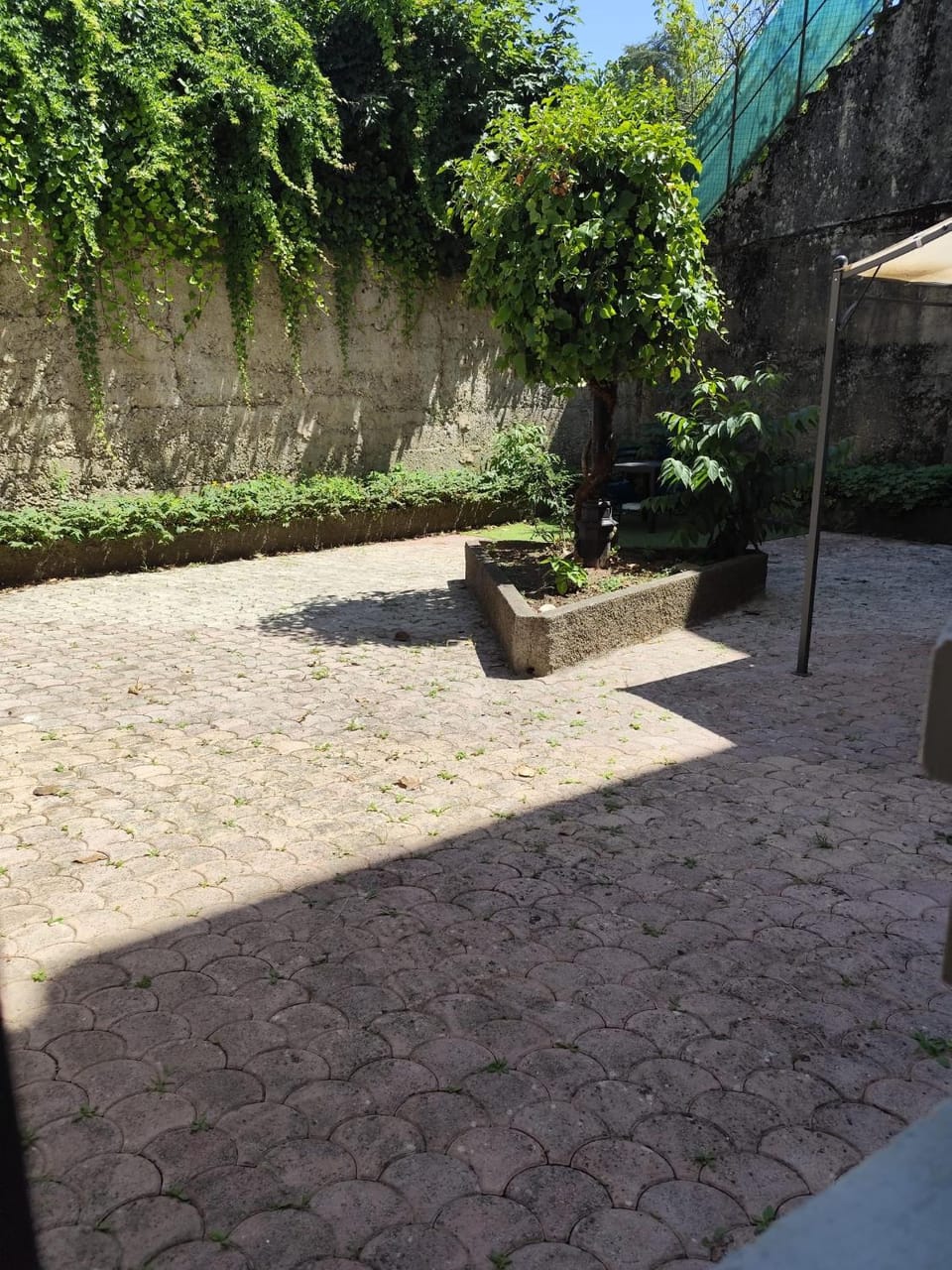 Property building, Garden, Garden view