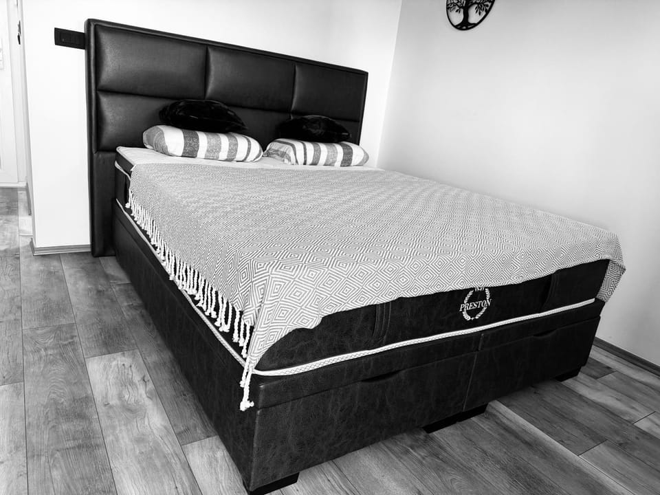 Studio Supreme Apartment in Zadar
