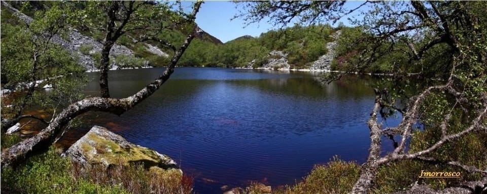Natural landscape