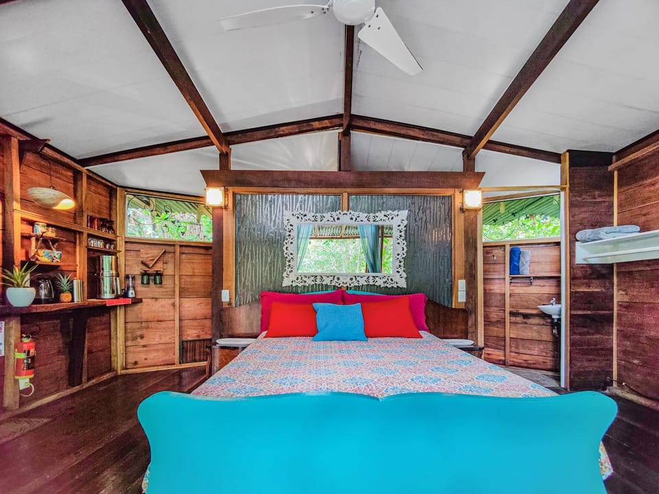 Bed, Kitchen or kitchenette, Photo of the whole room, Bedroom, wardrobe