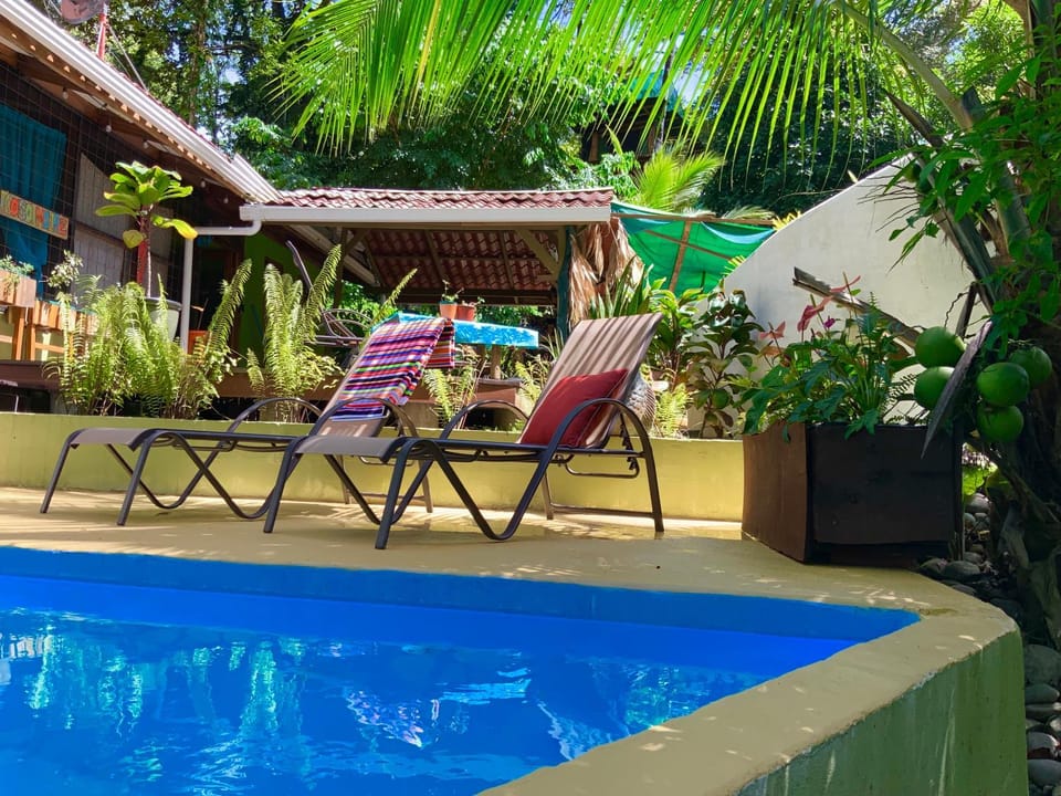 Patio, Garden, Pool view, Swimming pool, sunbed