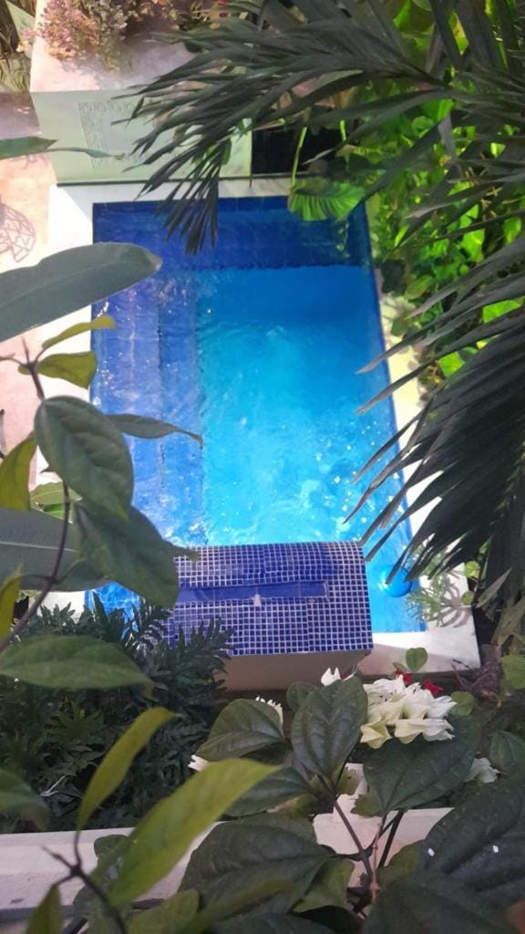 Garden view, Swimming pool