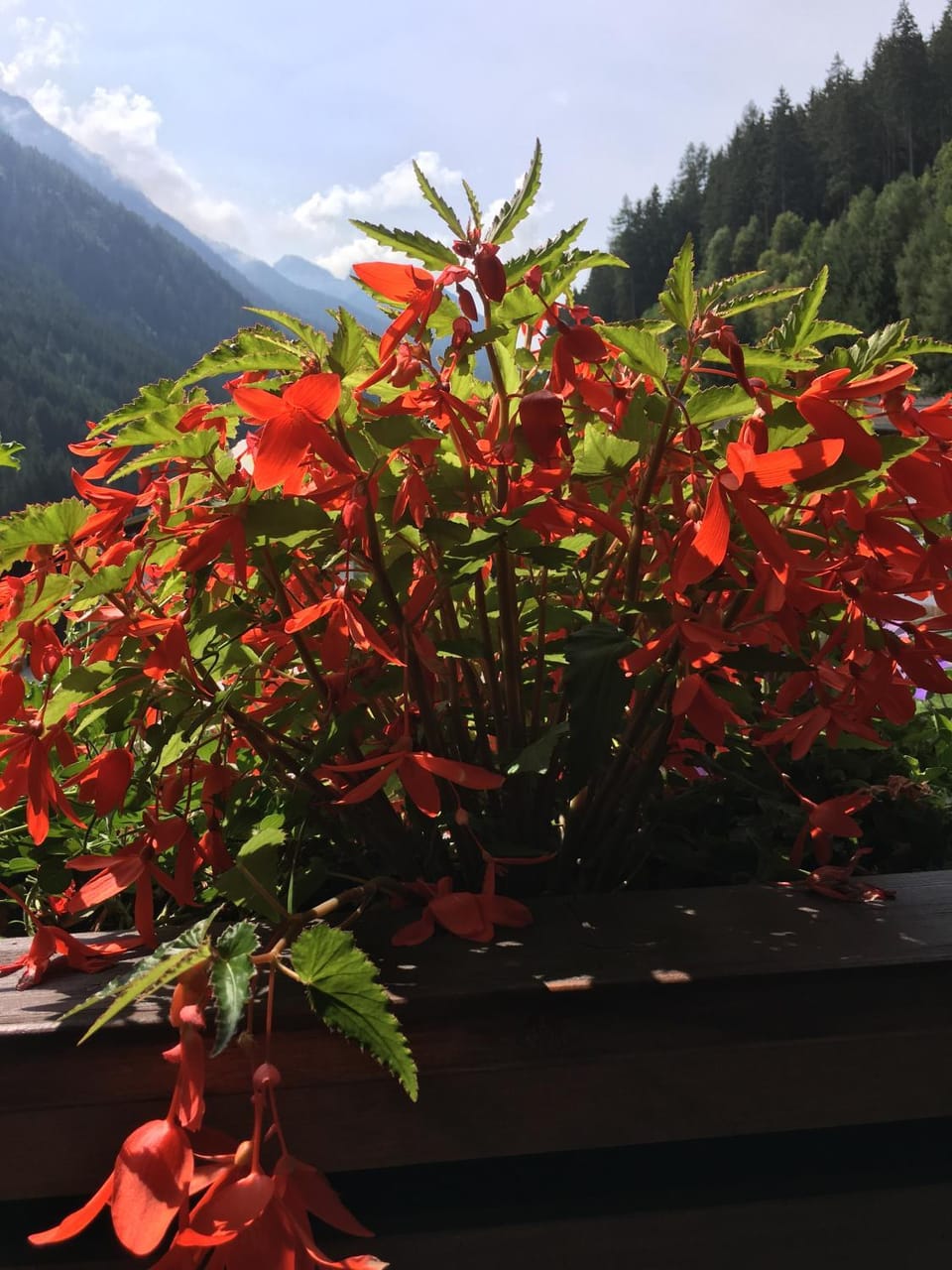 Pension Christophorus Apartment in Neustift im Stubaital