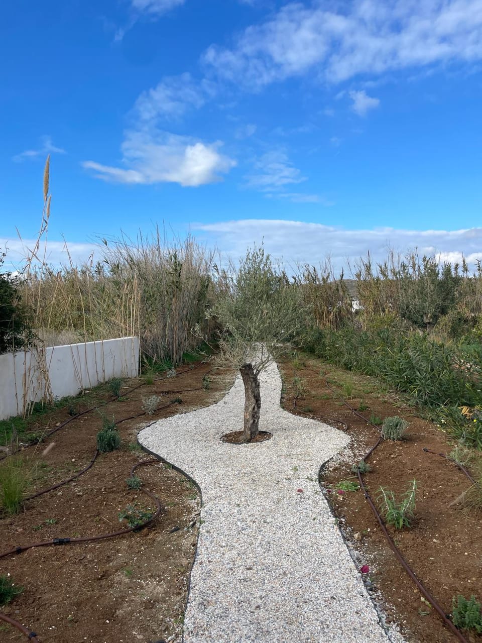 Kastraki Gem Villa House in Naxos, Naxos and Lesser Cyclades, Greece