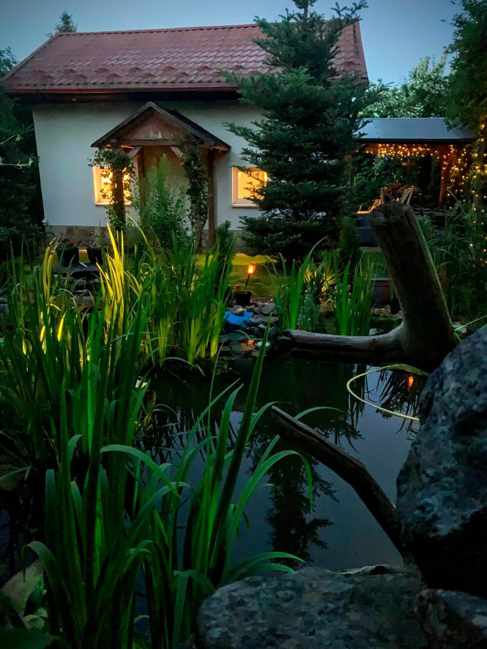 Property building, Garden, Garden view