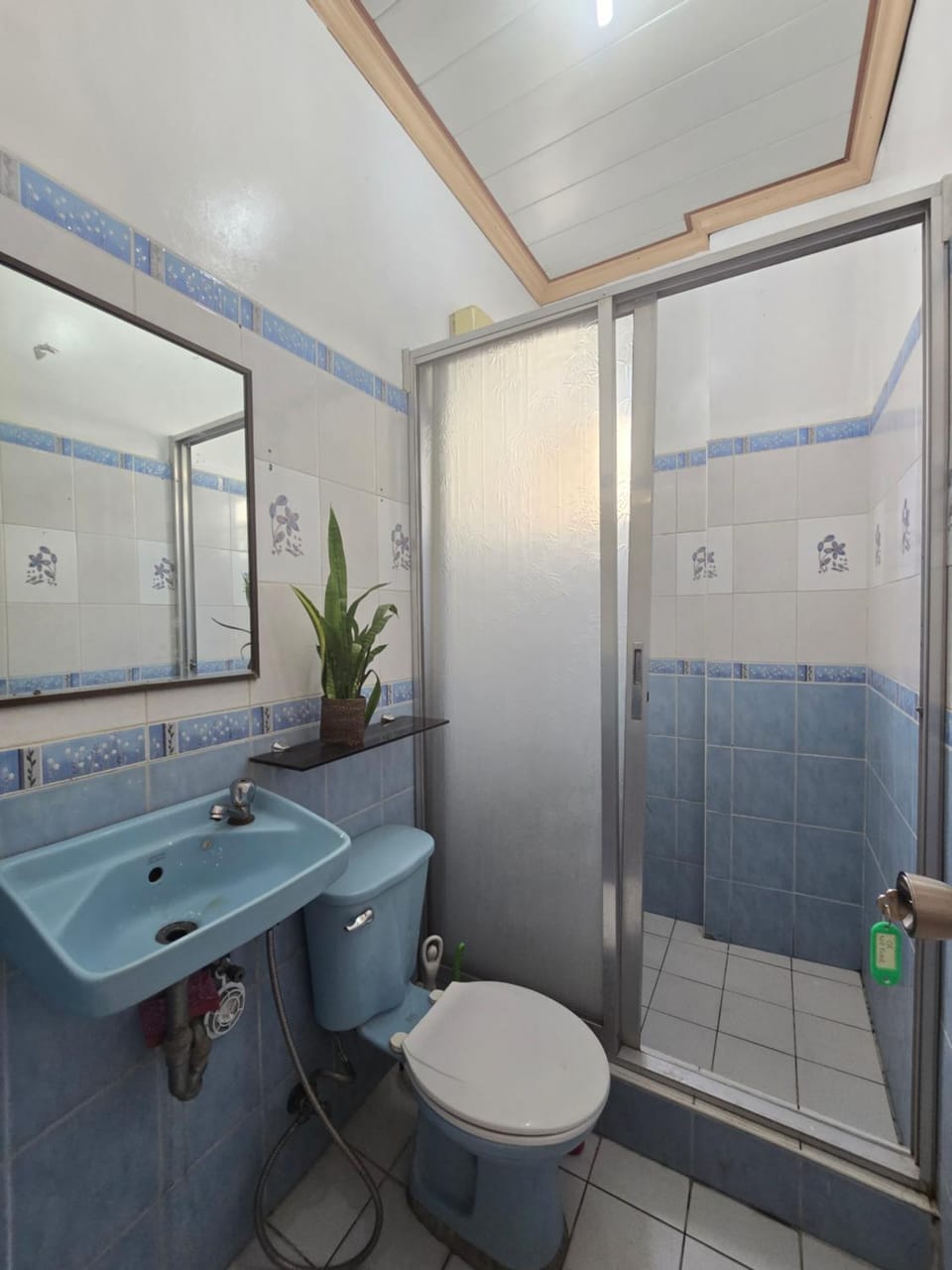 Shower, Toilet, Bathroom, bidet