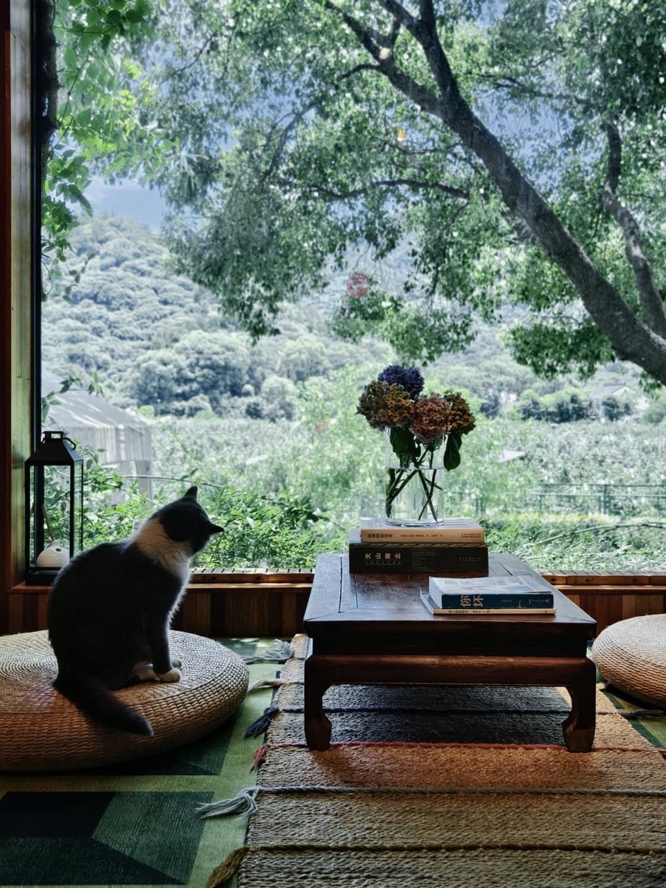 Spring, Day, Natural landscape, Garden, Living room, Seating area, Garden view