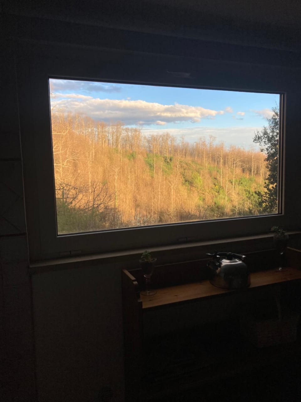 Casetta nel bosco di Valeria e Davide House in Lazio